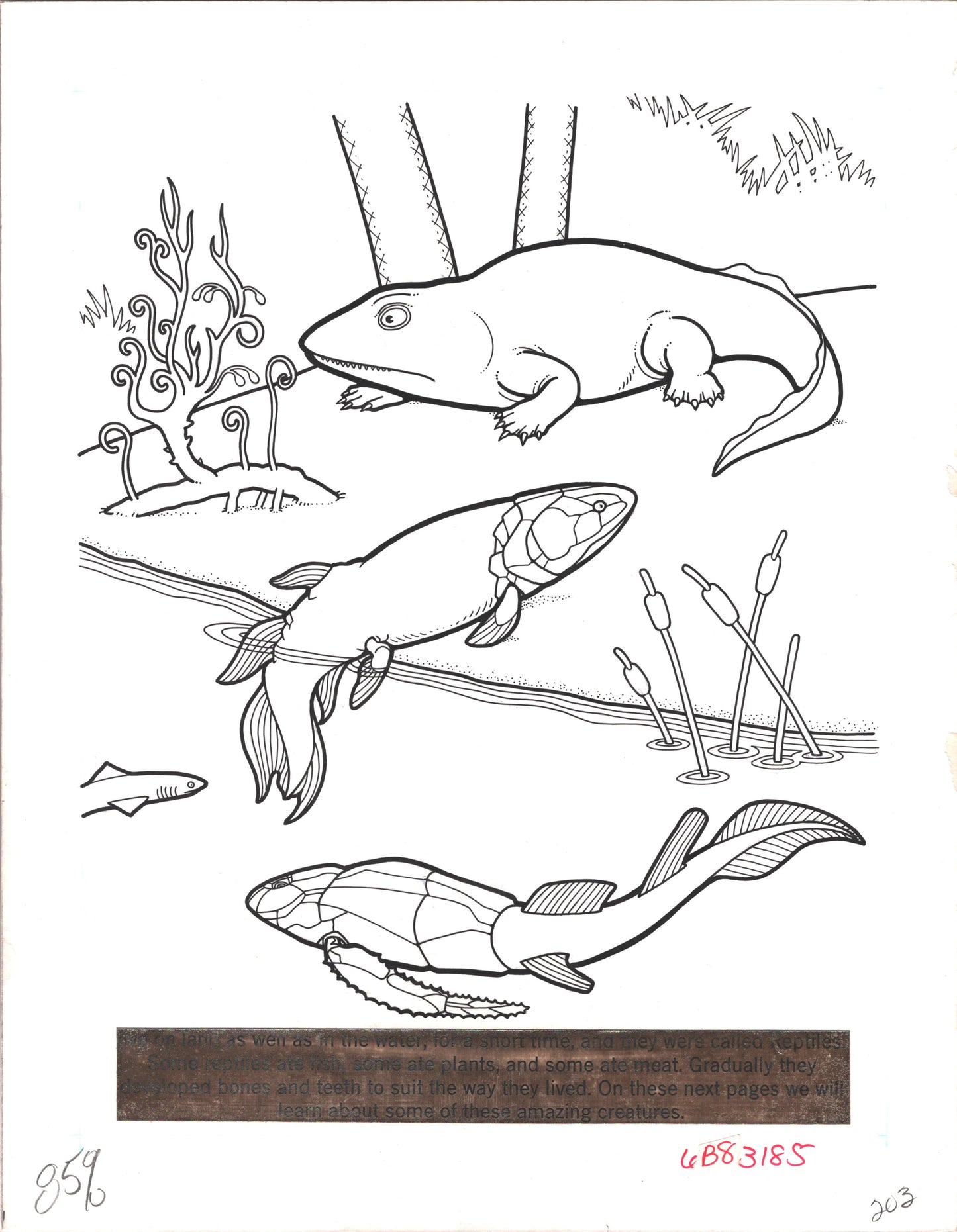 Dinosaurs Coloring Book Page Hand-Inked Illustration Drawing from Stoneway 1990 203