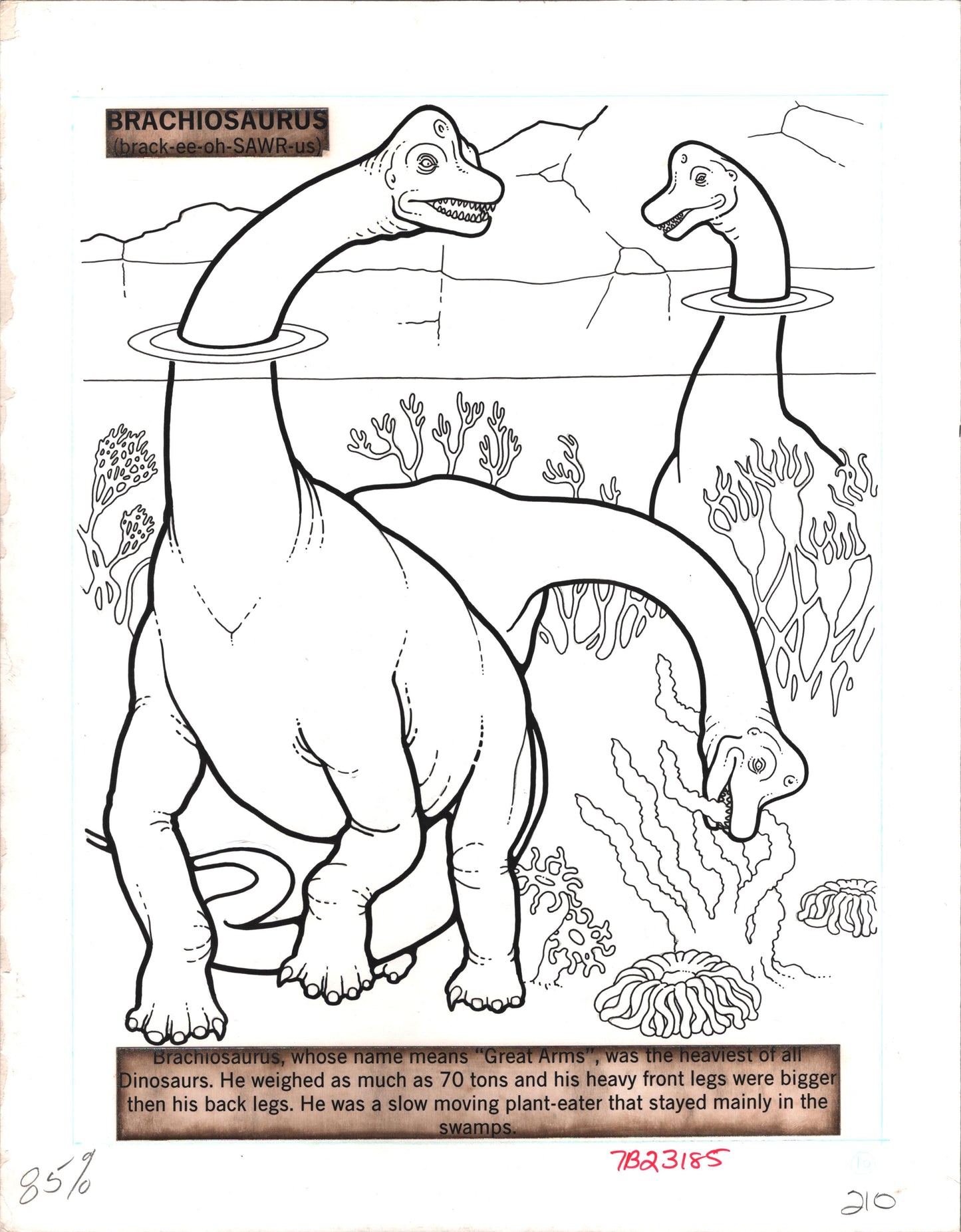 Dinosaurs Coloring Book Page Hand-Inked Illustration Drawing from Stoneway 1990 210