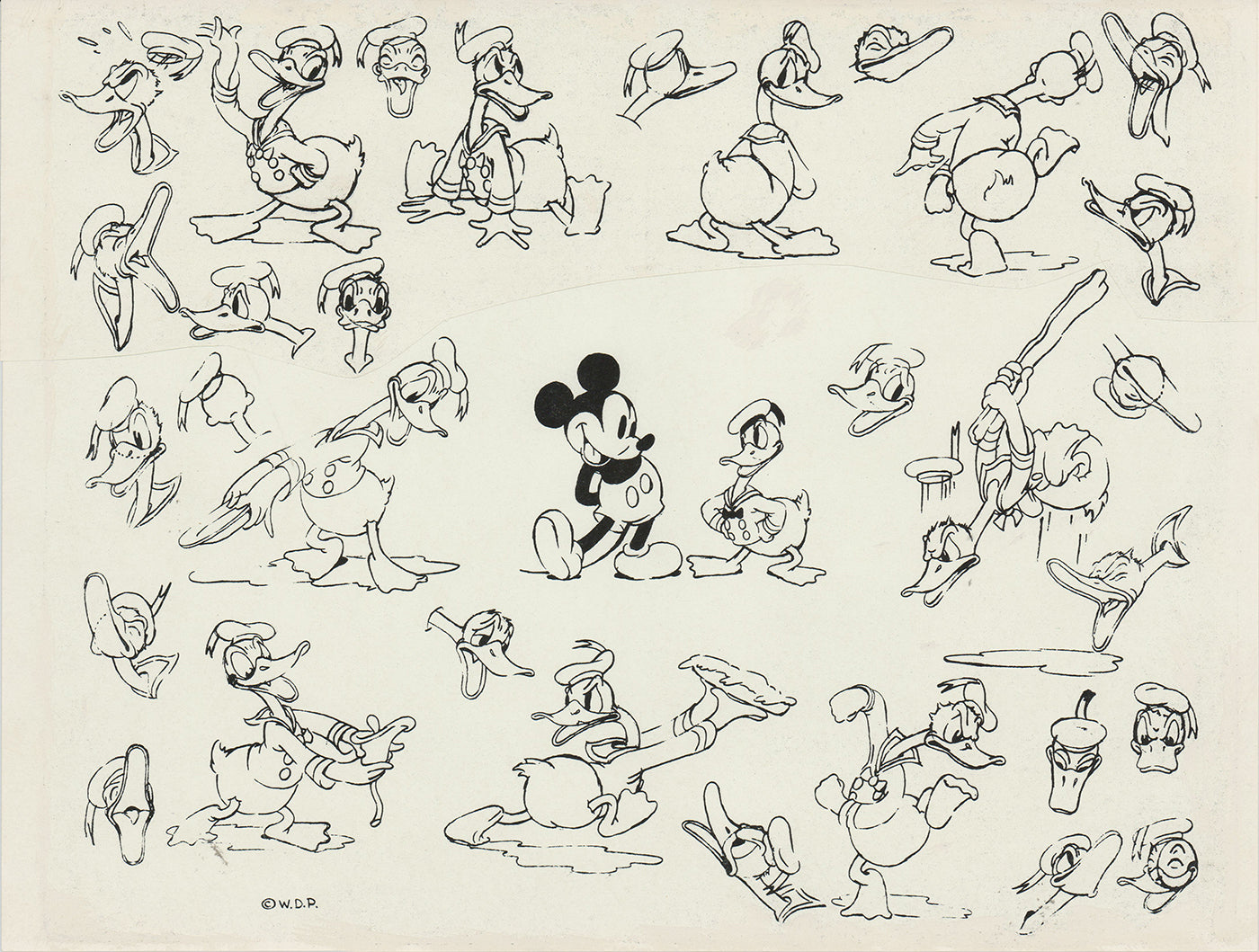 Donald Duck Walt Disney Litho Production Mimeograph Animation Model Sheet A137