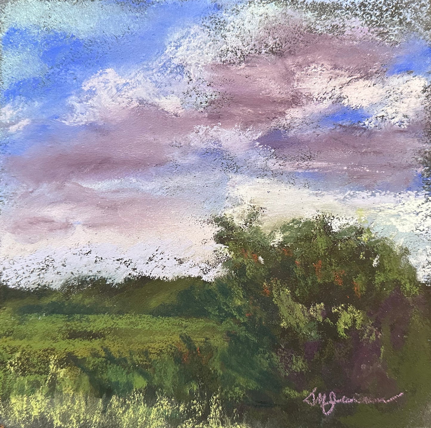 New Mexico Award Winning Artist Sharon Jensen Original Pastel Painting "Closer"