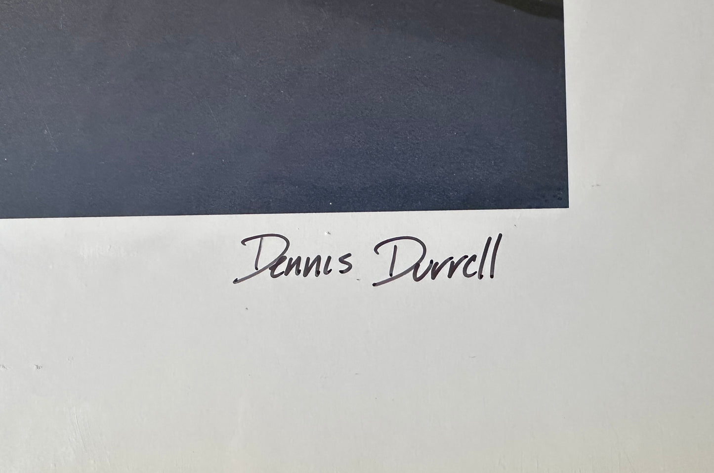 Scooby Doo Durrell Signed Ltd Ed of 500 Lithograph WB HB - House Swarming OH