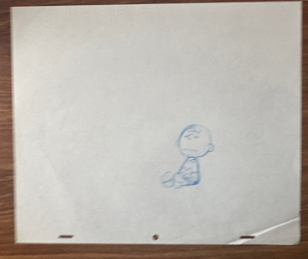 Charlie Brown Its Arbor Day Baseball Cel Drawing 1976 Schulz 528