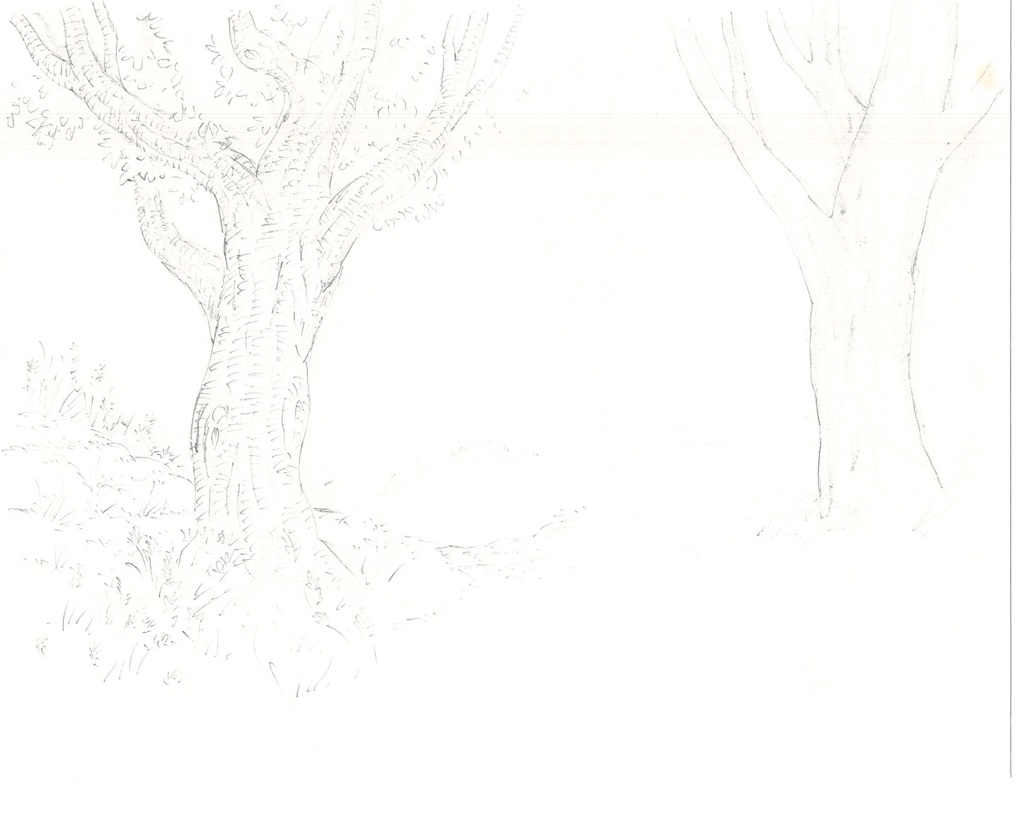 Winnie the Pooh Disney TV 1988 Production Drawing Animator's Estate Z026