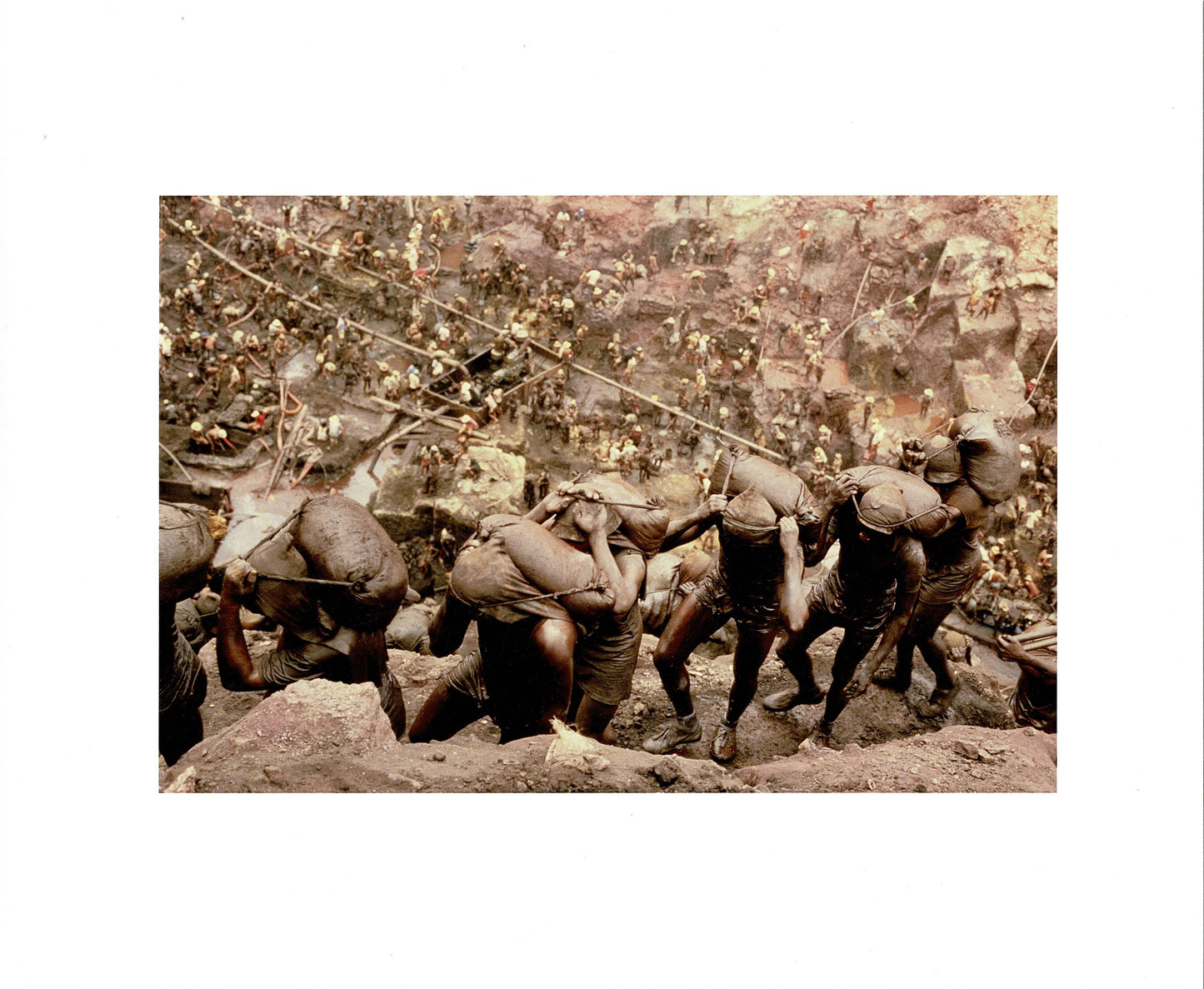 Alfredo Jaar Gold in the Morning Giclee Limited Ed Photograph Print 2024