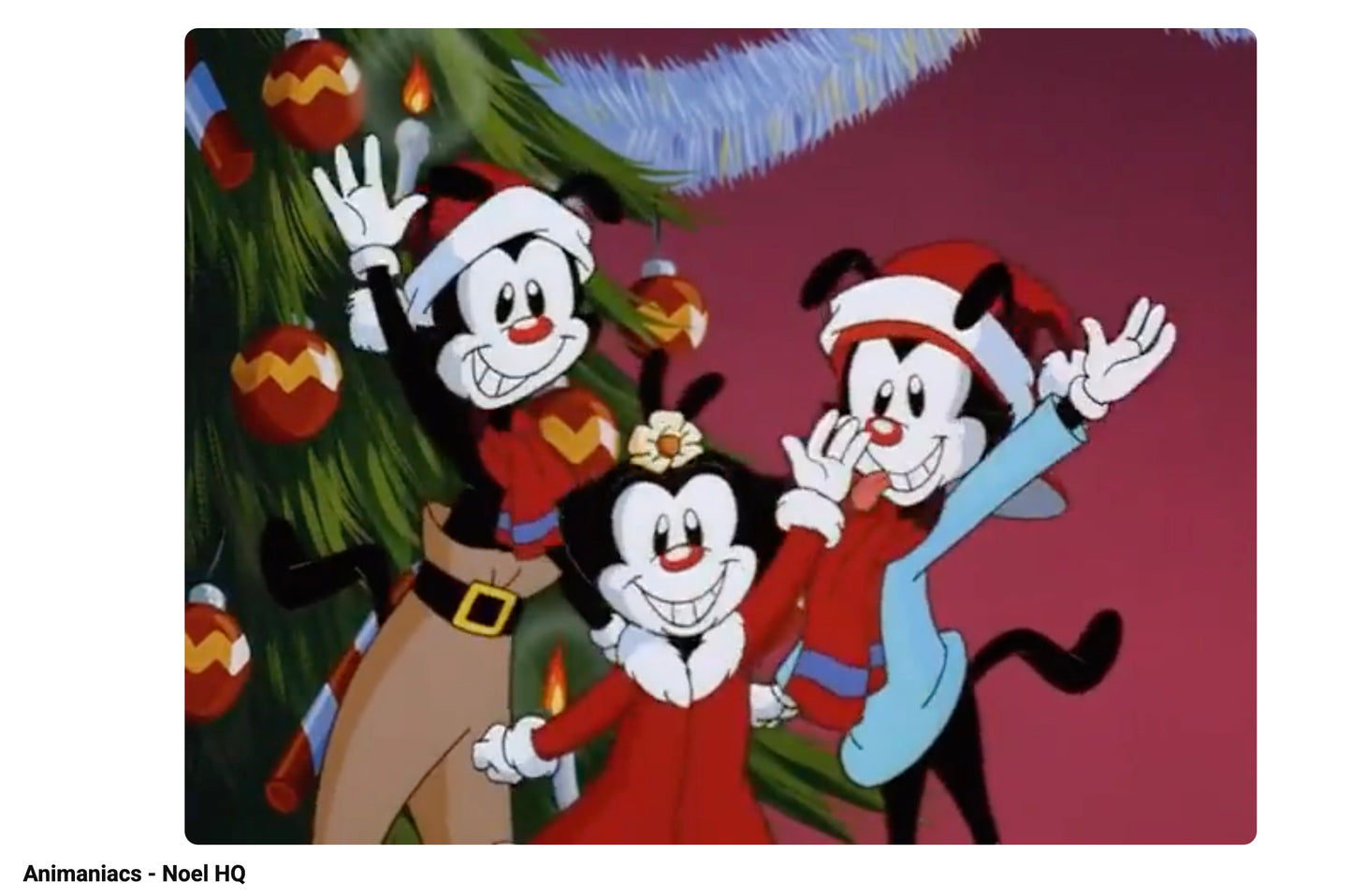 ANIMANIACS! Original Production Animation Cel Warner Brothers 1993-8 SIGNED by Animaniacs Creator Tom Ruegger Noel Song b