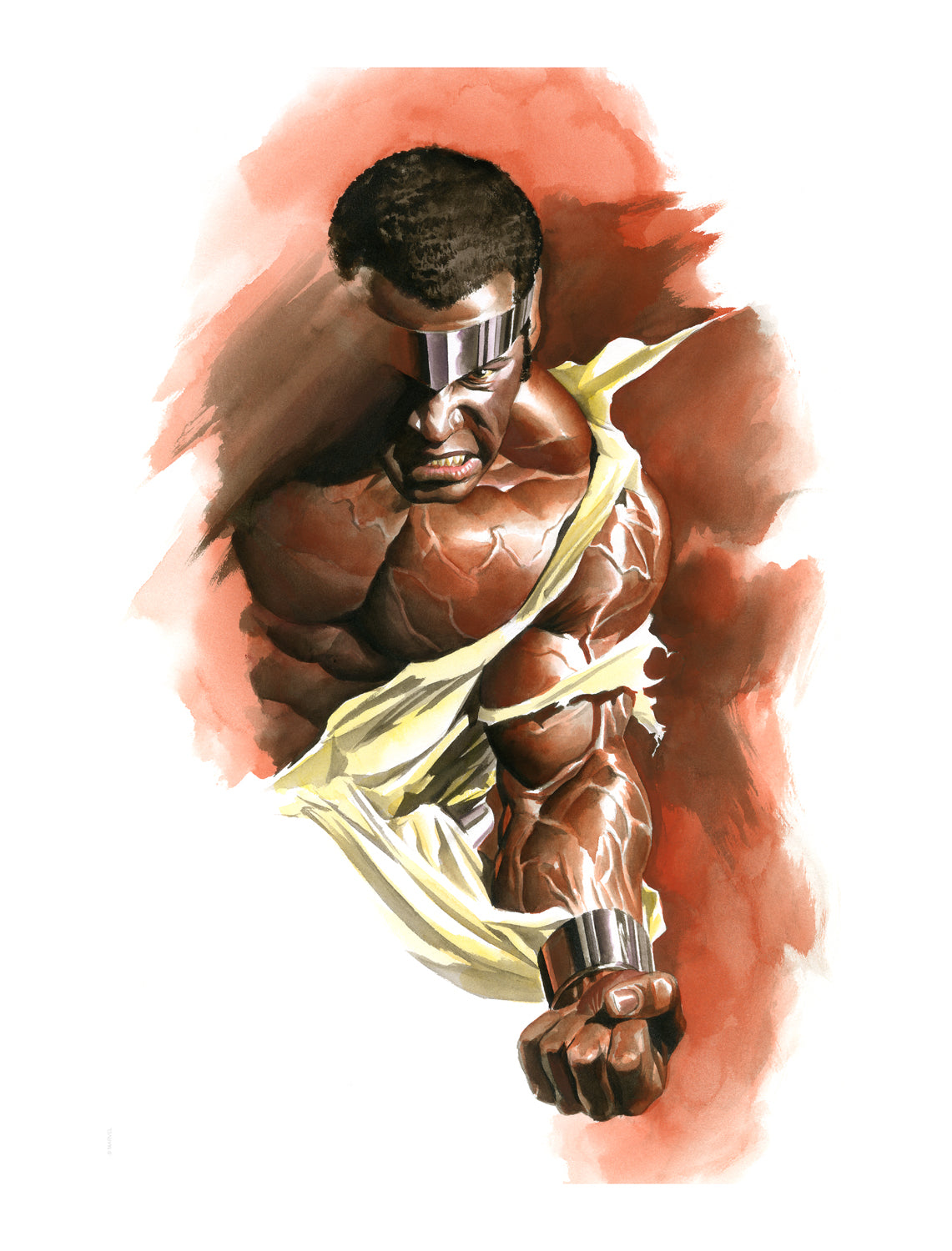 Luke Cage Hero for Hire Alex Ross SIGNED Limited Edition Giclee Print on Canvas