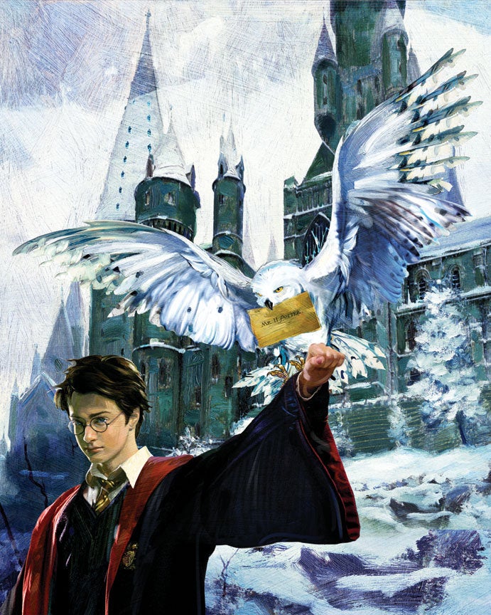 Harry Potter Harry & Hedwig Jim Salvati SIGNED Giclee on Canvas Limited Edition 100