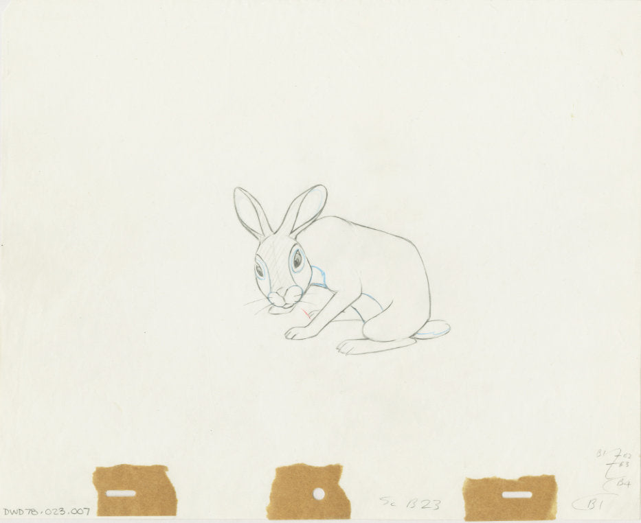 Watership Down Fiver KEY 1978 Production Animation Cel Drawing with LJE Seal and COA 23-7