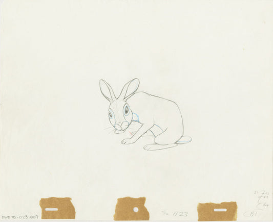 Watership Down Fiver KEY 1978 Production Animation Cel Drawing with LJE Seal and COA 23-7