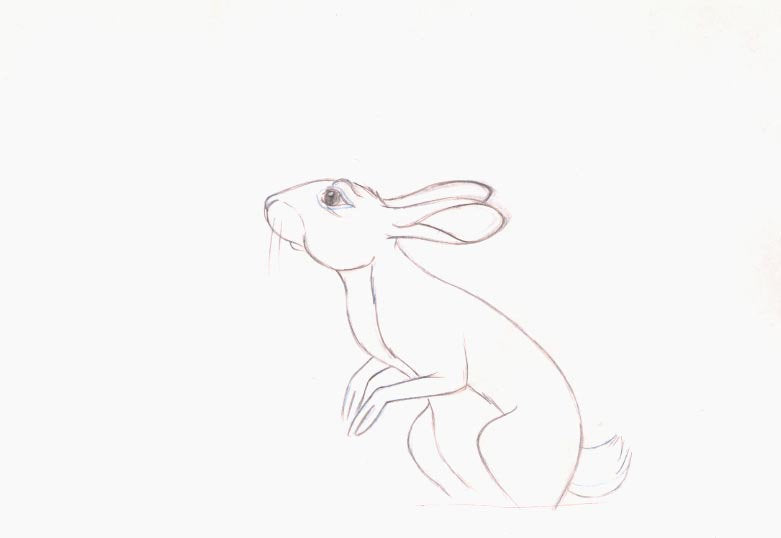 Watership Down 1978 Production Animation Cel Drawing with Linda Jones Enterprise Certificate of Authenticity 022-5