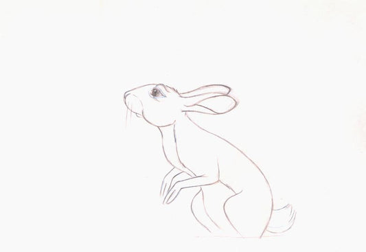 Watership Down 1978 Production Animation Cel Drawing with Linda Jones Enterprise Certificate of Authenticity 022-5