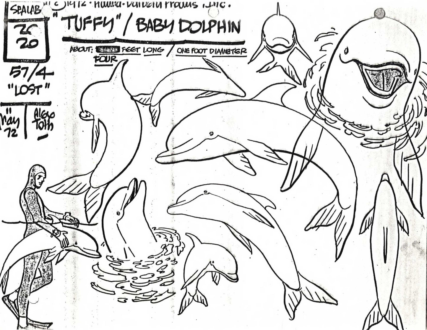 Alex Toth Sealab 2020 1972 Model Sheet Copy from Hanna Barbera Dolphin 20