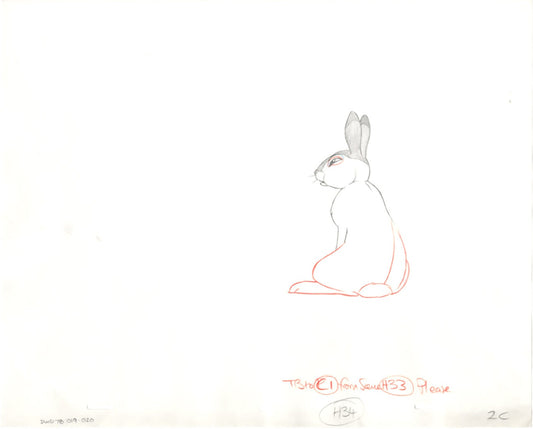 Watership Down 1978 Production Animation Cel Drawing with Linda Jones Enterprise Seal and Certificate of Authenticity 19-020