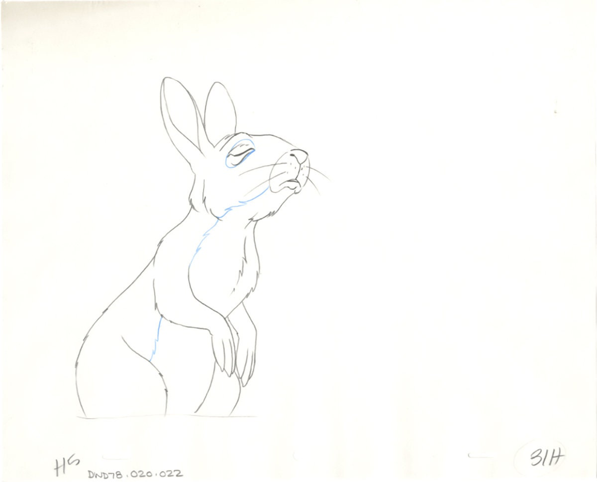 Watership Down 1978 Production Animation Cel Drawing with Linda Jones Enterprise Seal and Certificate of Authenticity 020-022