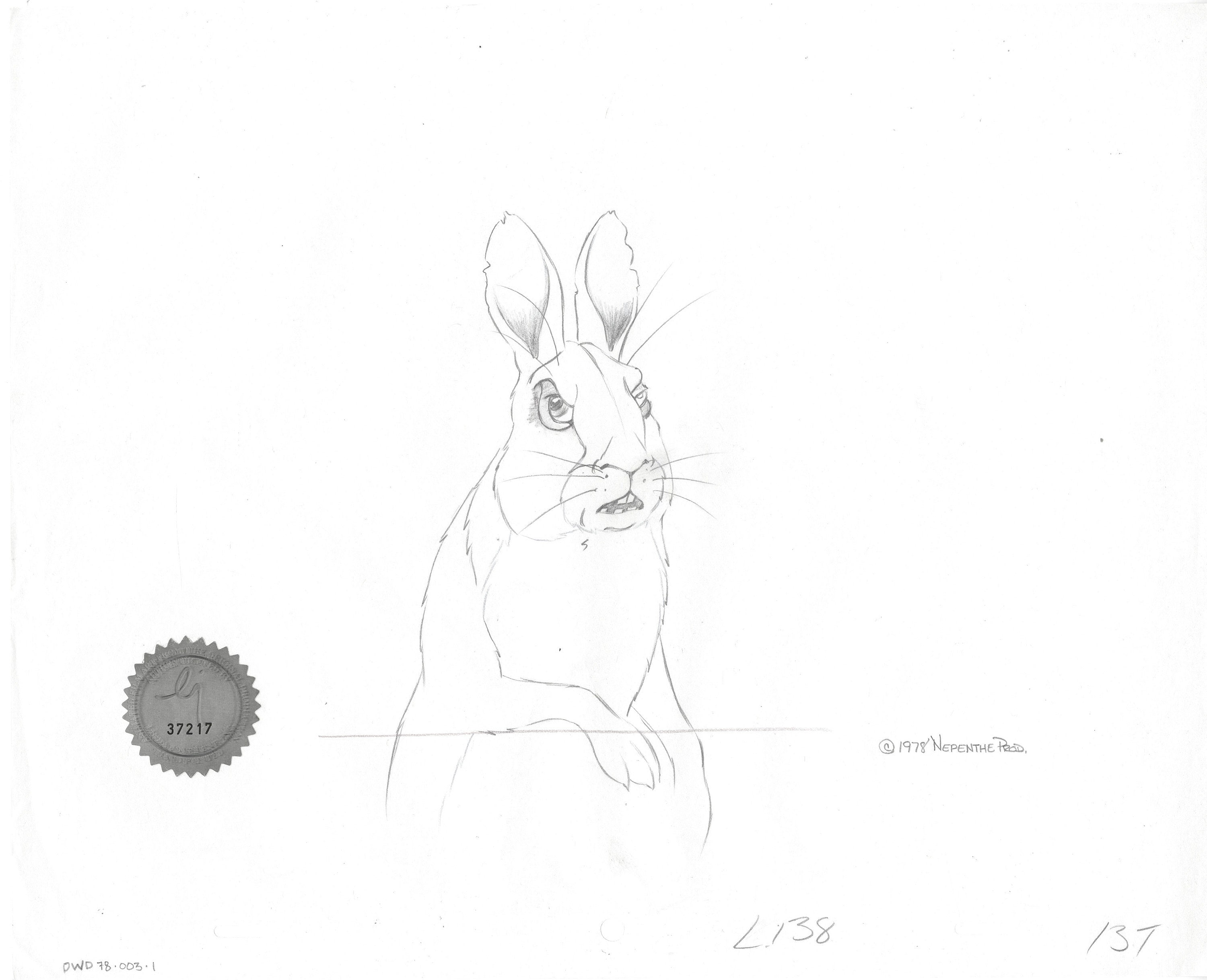 Watership Down 1978 Production Animation Cel Drawing With Linda Jones Charles Scott Gallery 2119