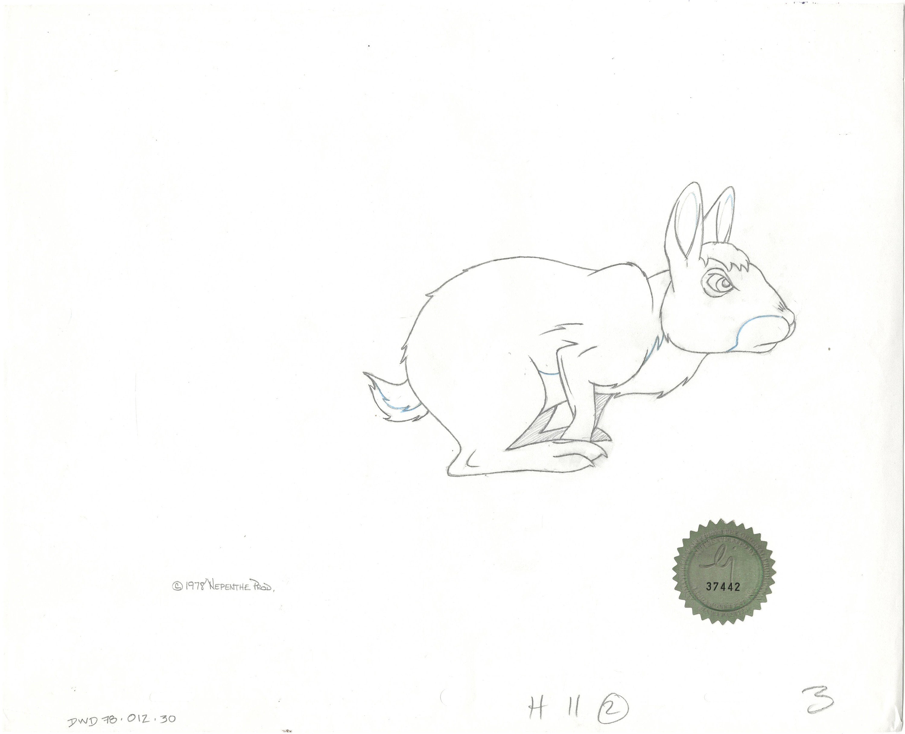 Watership Down 1978 Production Animation Cel Drawing Of Bigwig With Li ...