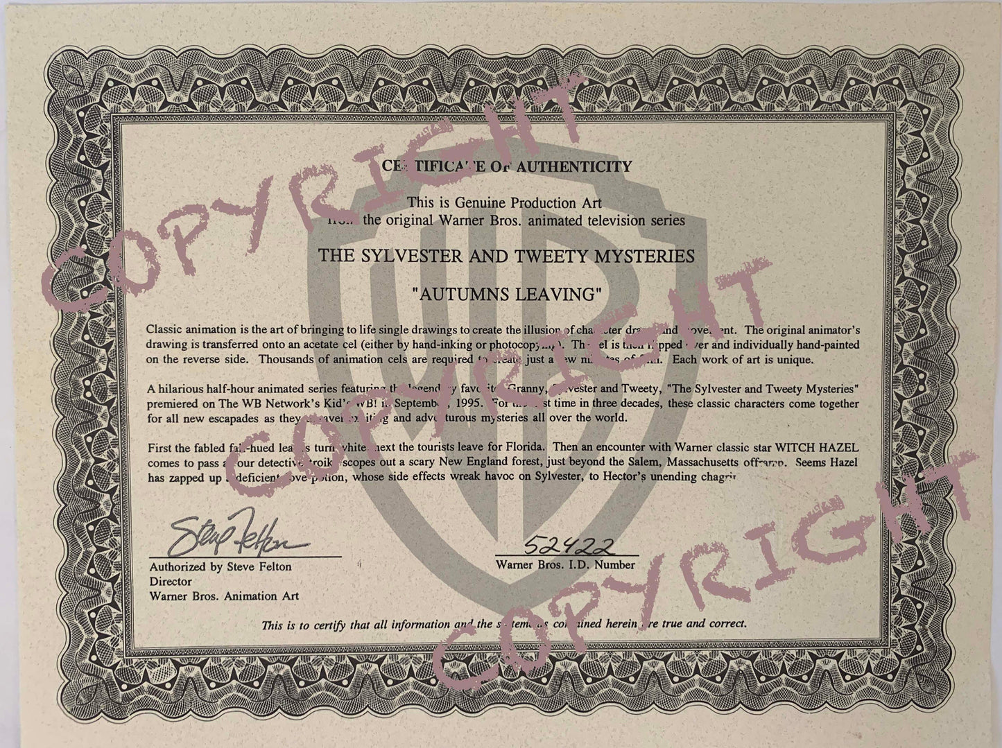 The Sylvester and Tweety Mysteries Witch Hazel Looney Tunes Animation Cel from Warner Brothers 1996 Framed