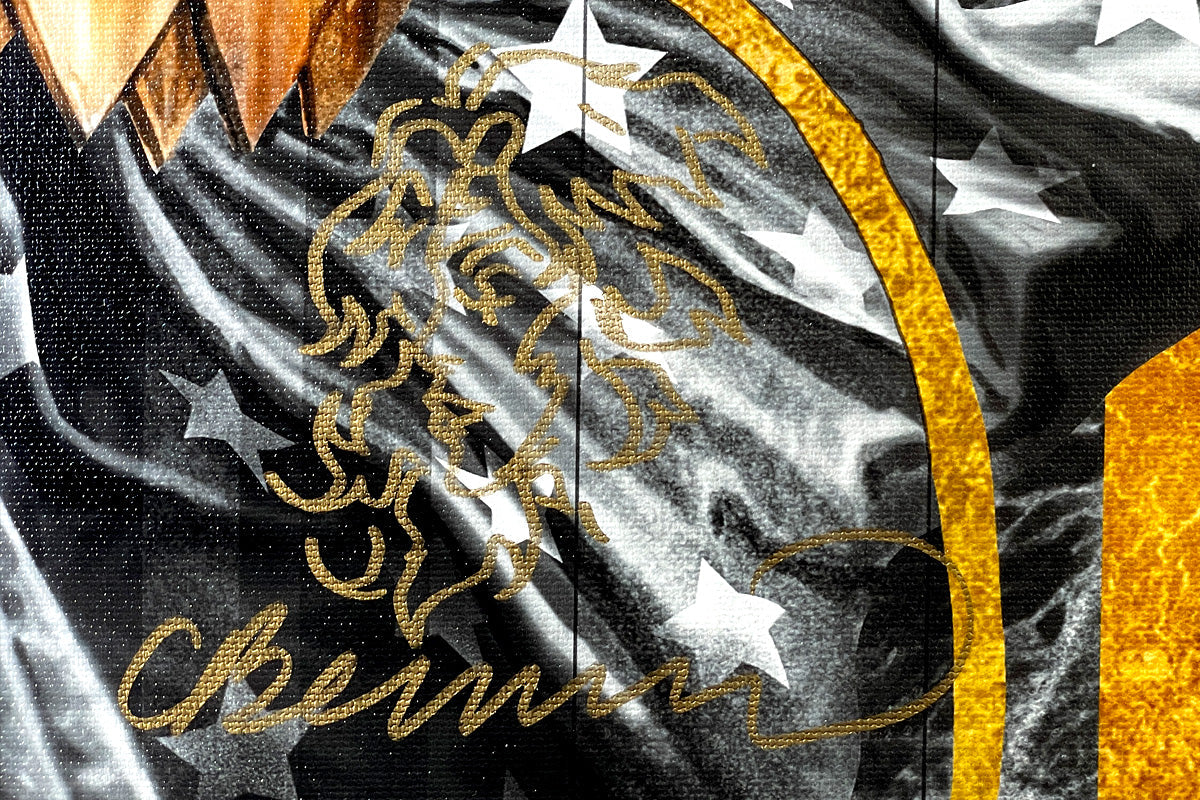 Lee Bermejo SIGNED Wonder Woman Black and Gold DC Warner Brothers Giclee Print on Canvas Limited Edition - choose your edition - PROOFS ONLY