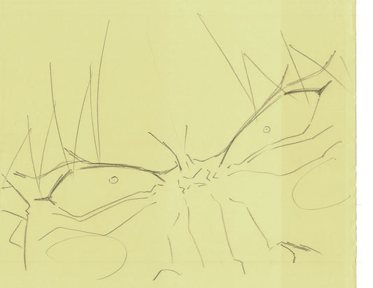 Excel Saga Anime Lot of 2 Production Animation Cel Drawings 2000 AE-19