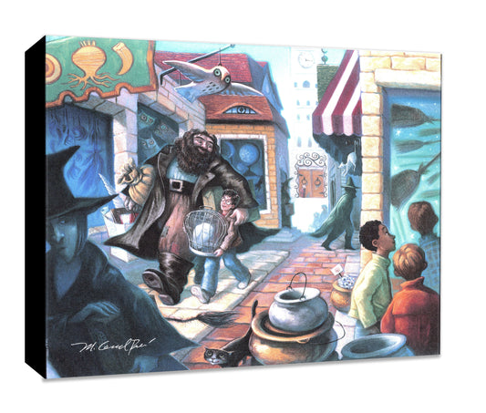Harry Potter Mary Grandpre Warner Brothers Mighty Mini Gallery-Wrapped Limited Edition of 1500 Canvas Print Diagon Alley