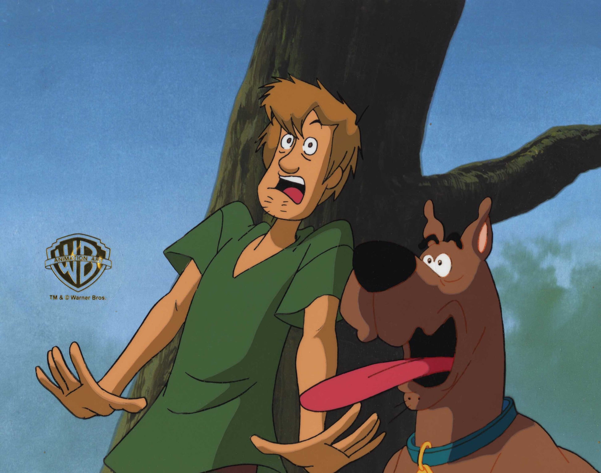 Scooby Doo and Shaggy Zombie Island Production Animation Art Cel