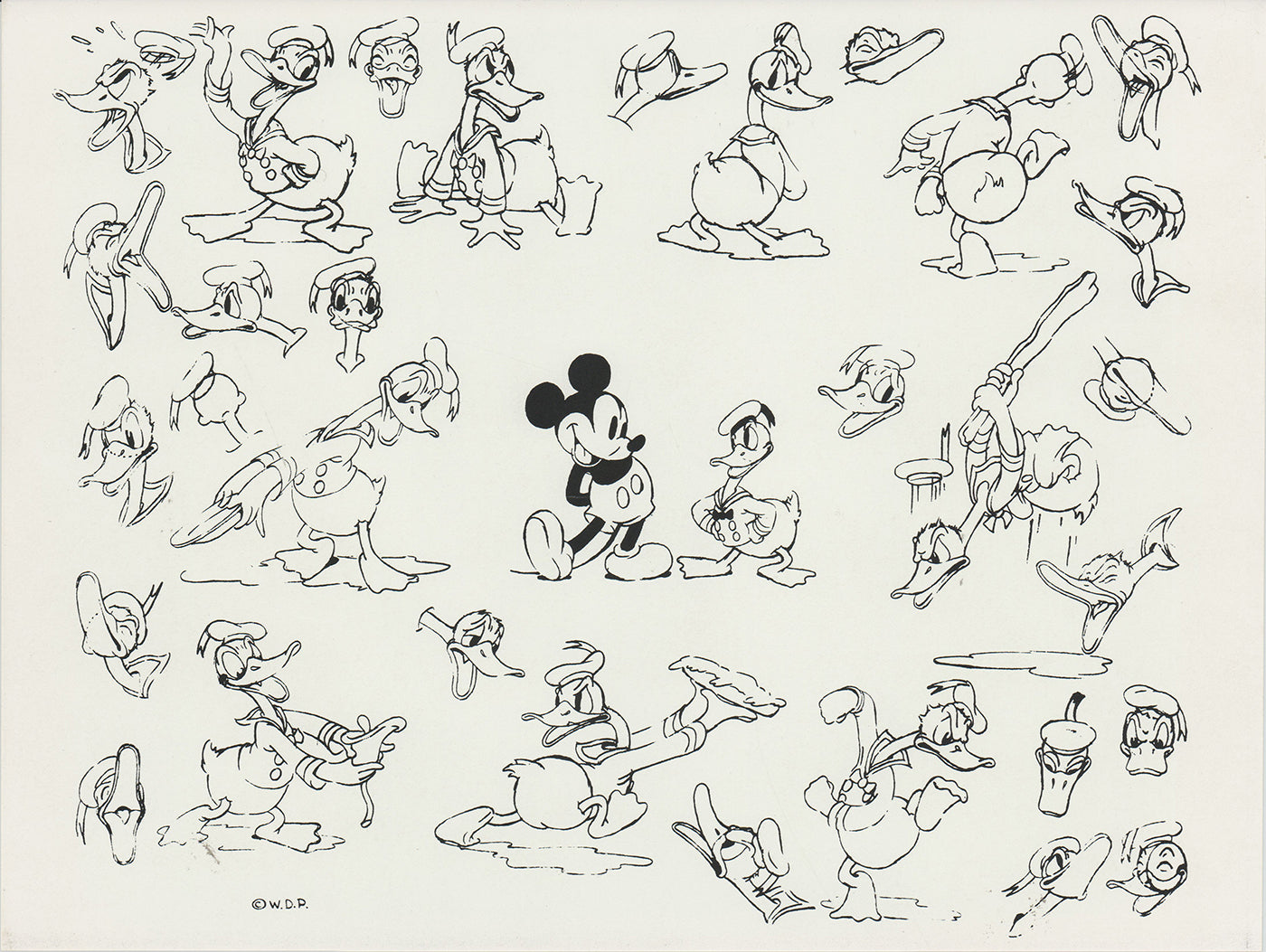 Donald Duck Walt Disney Litho Production Mimeograph Animation Model Sheet A135