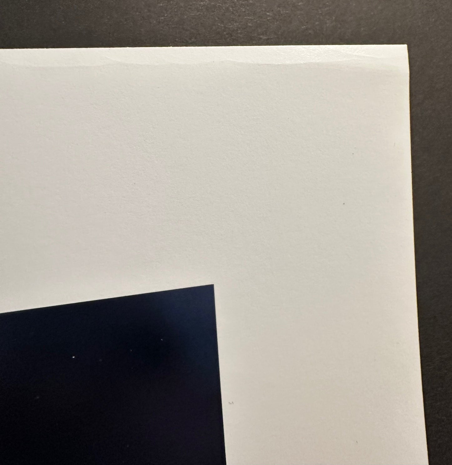 Carrie Mae Weems Repeating the Obvious Giclee Limited Ed Photograph Print 2024