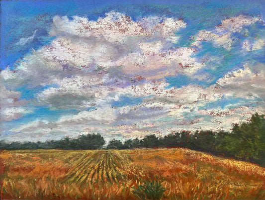 New Mexico Award Winning Artist Sharon Jensen Original Pastel Painting "Clouded Field"