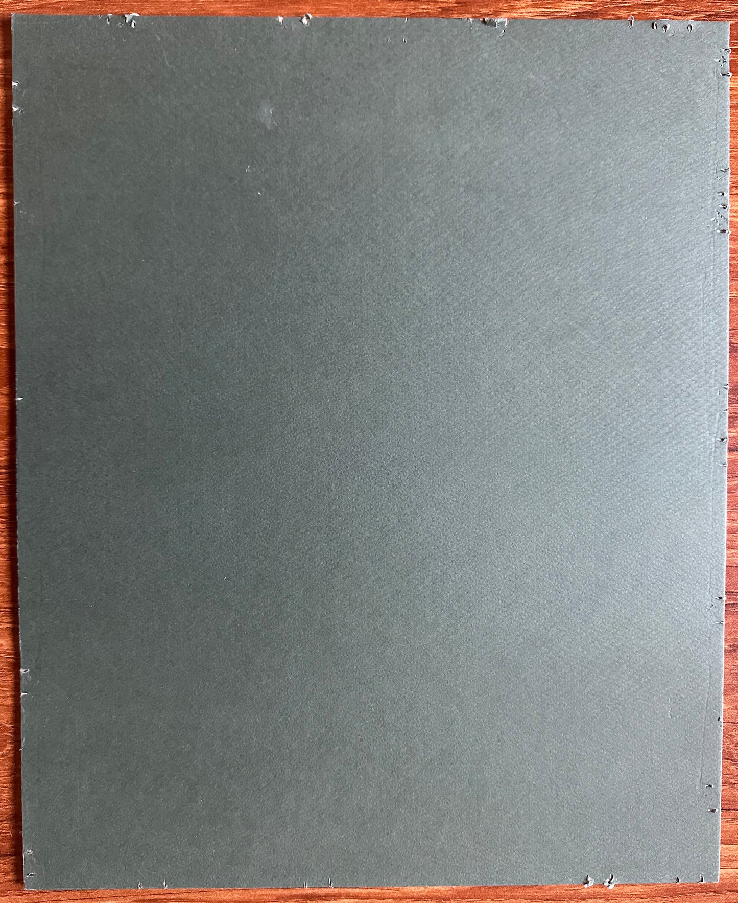 Curtis Hand-Colored Copper-Plate Botanical Print Starfish Flower 1807