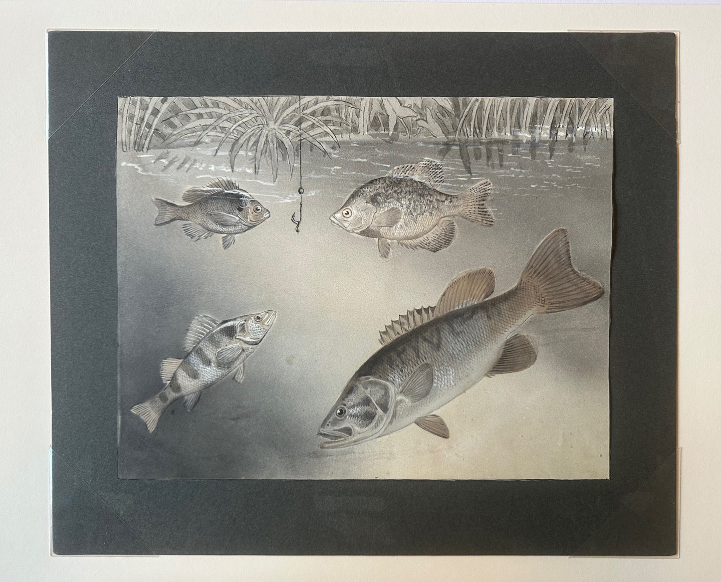 James Carter Beard Original Ink and Watercolor Painting "Underwater Scene" 1904 Ex-BSA Collection