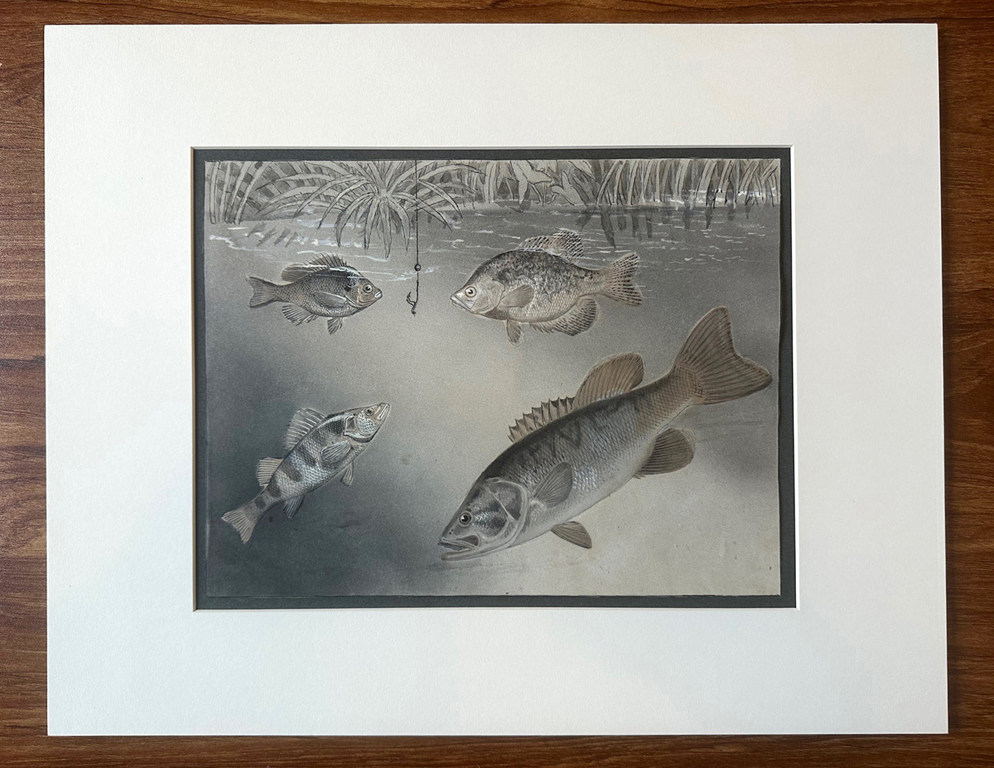 James Carter Beard Original Ink and Watercolor Painting "Underwater Scene" 1904 Ex-BSA Collection