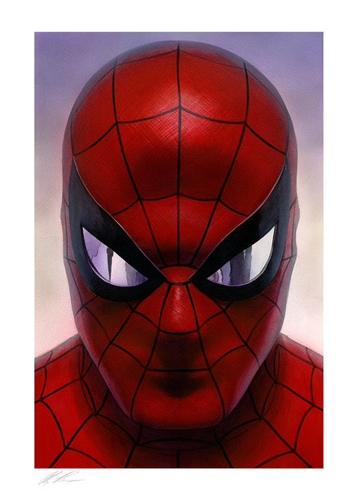 Spider-Man and Green Goblin (set of 2) Marvel Comics Alex Ross Signed Prints on Paper Limited Edition of 25 Artist Proof Edition