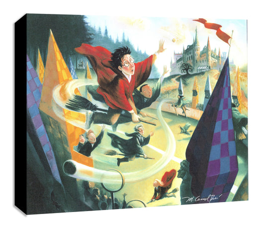 Harry Potter Mary Grandpre Warner Brothers Mighty Mini Gallery-Wrapped Limited Edition of 1500 Canvas Print Quidditch