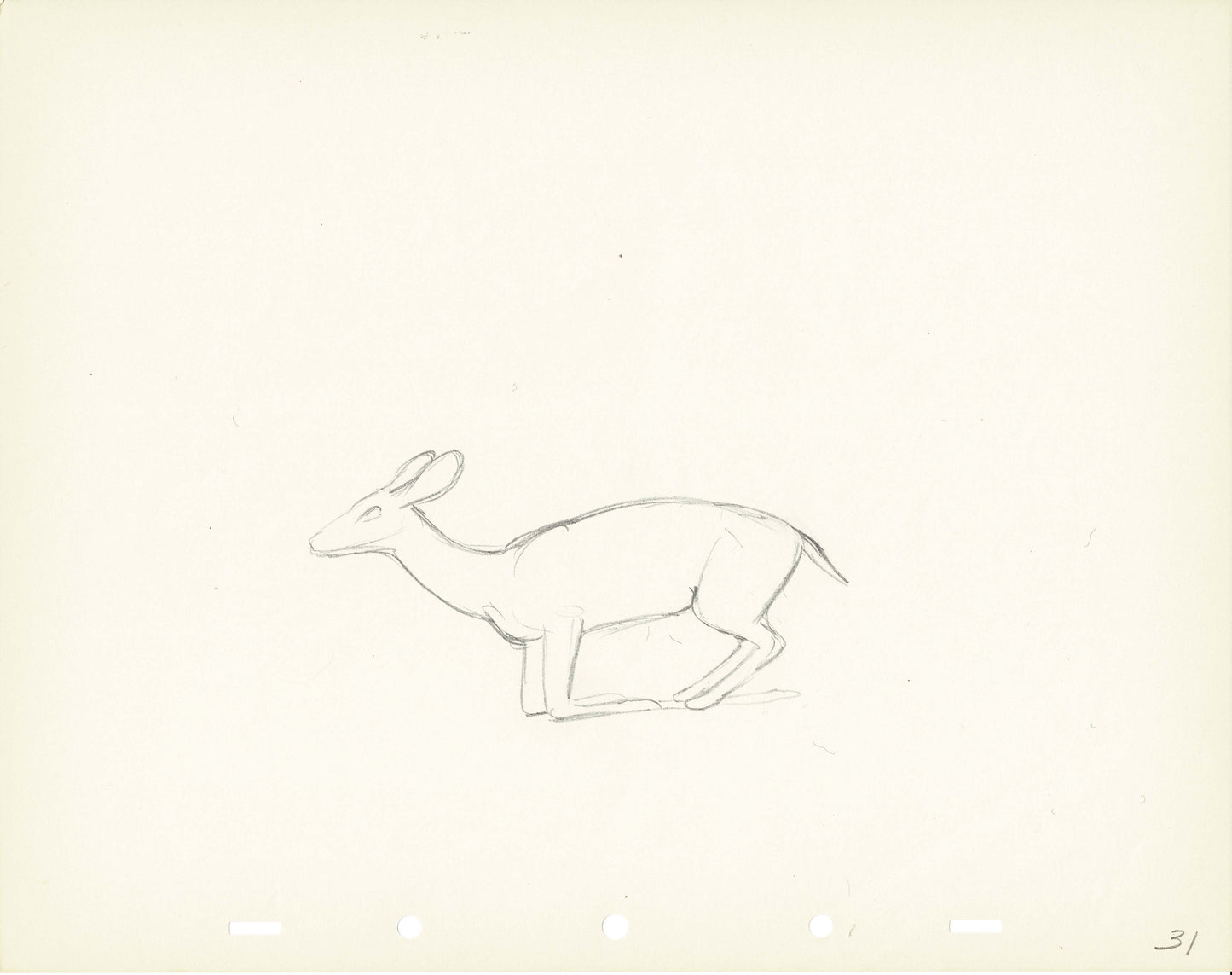 Walt Disney Rough Production Animation Cel Drawing or Study of a Deer 31m