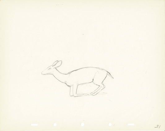 Walt Disney Rough Production Animation Cel Drawing or Study of a Deer 31m