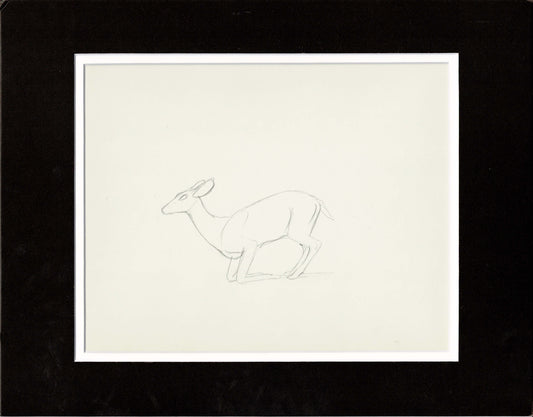 Walt Disney Rough Production Animation Cel Drawing or Study of a Deer 33m