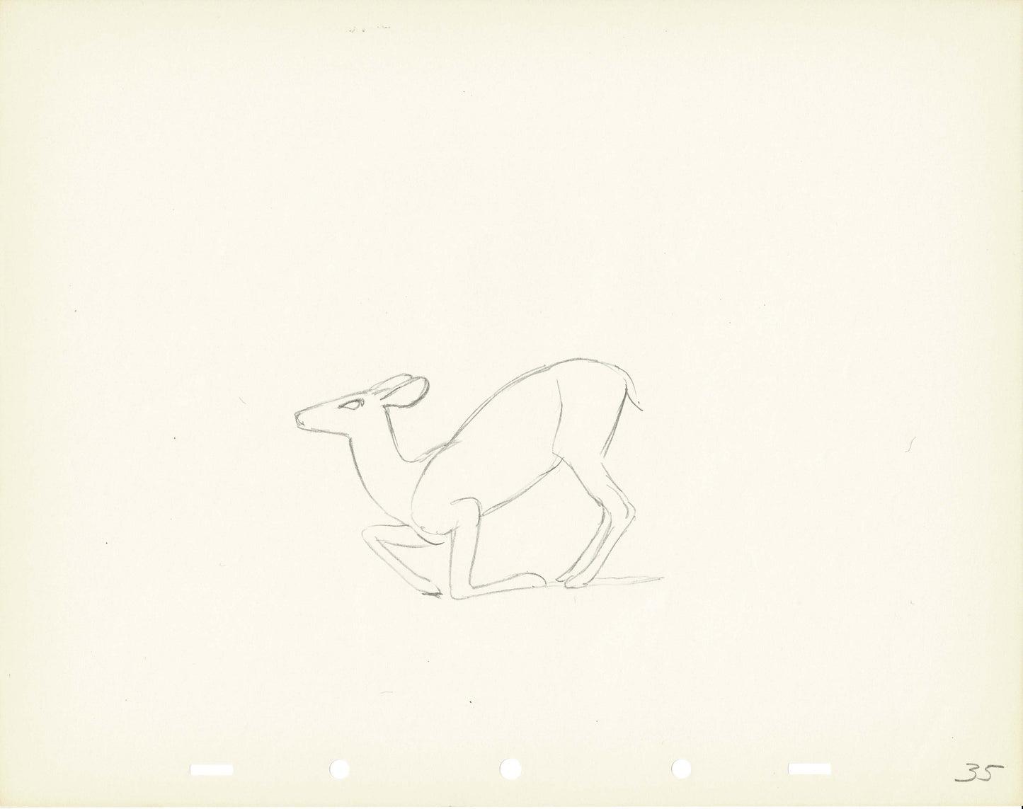 Walt Disney Rough Production Animation Cel Drawing or Study of a Deer 35m