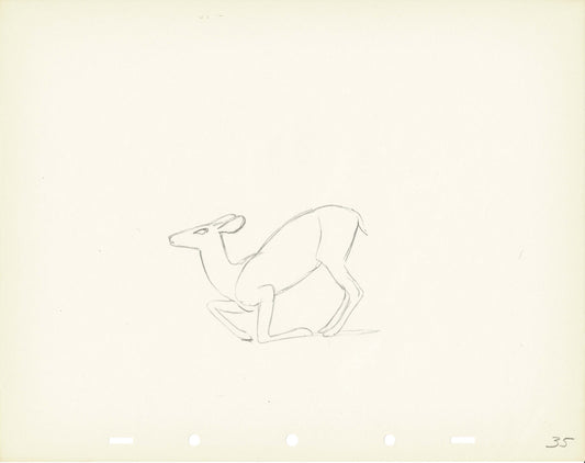 Walt Disney Rough Production Animation Cel Drawing or Study of a Deer 35m