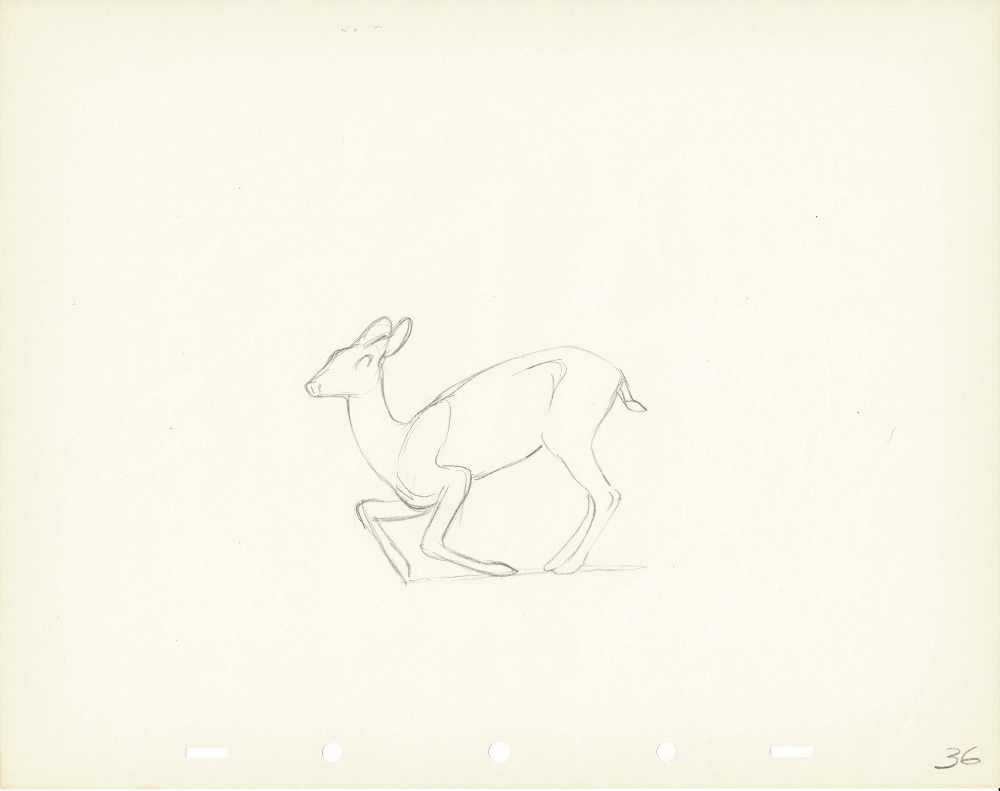 Walt Disney Rough Production Animation Cel Drawing or Study of a Deer ...