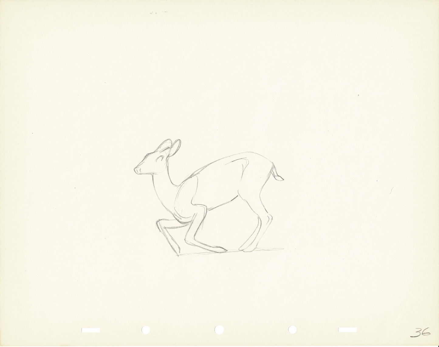 Walt Disney Rough Production Animation Cel Drawing or Study of a Deer 36m