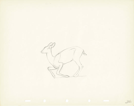 Walt Disney Rough Production Animation Cel Drawing or Study of a Deer 36m