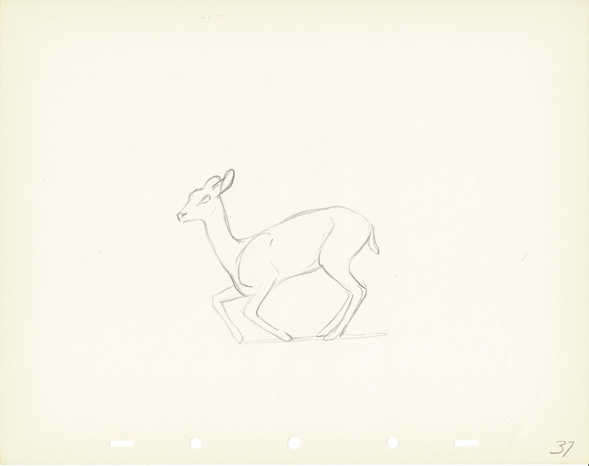 Walt Disney Rough Production Animation Cel Drawing or Study of a Deer ...