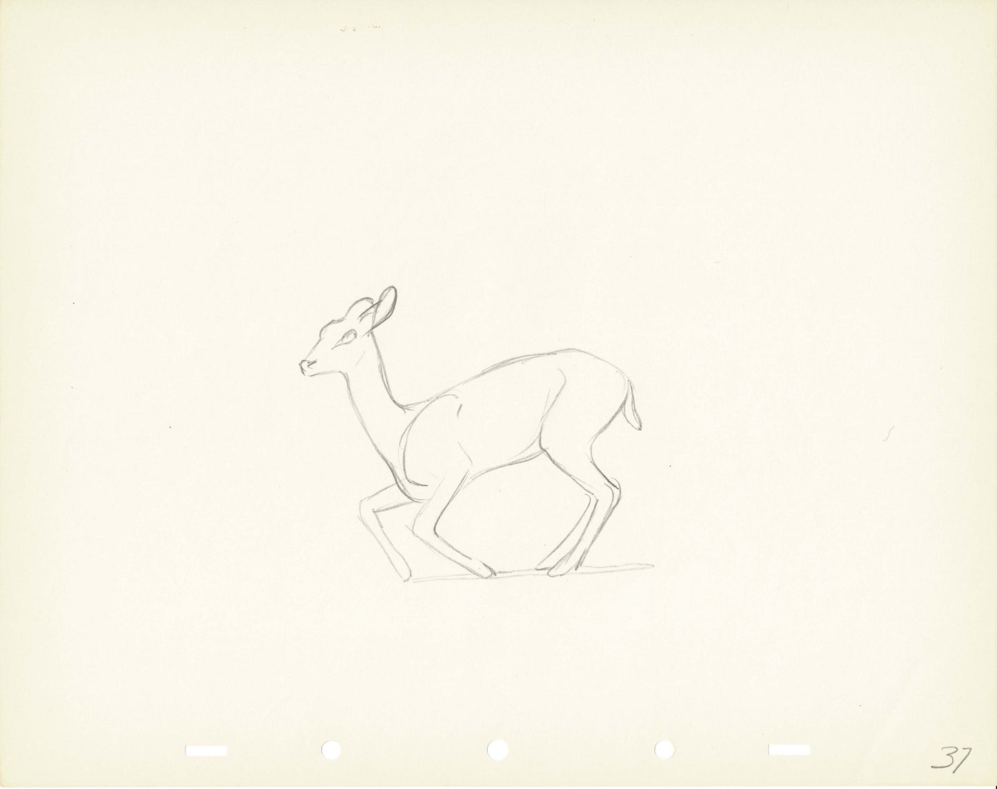 Walt Disney Rough Production Animation Cel Drawing or Study of a Deer 37m