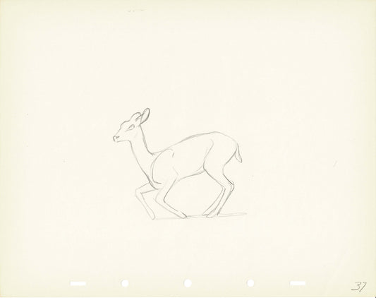 Walt Disney Rough Production Animation Cel Drawing or Study of a Deer 37m
