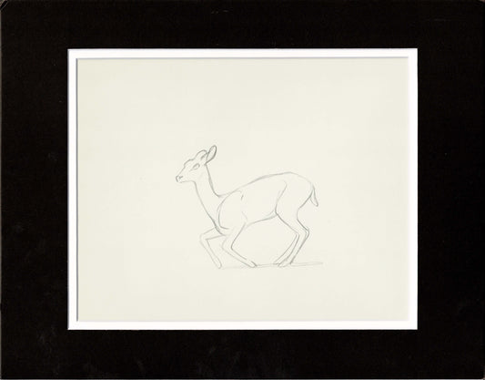 Walt Disney Rough Production Animation Cel Drawing or Study of a Deer 37m