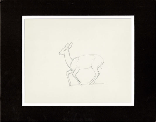 Walt Disney Rough Production Animation Cel Drawing or Study of a Deer 38m