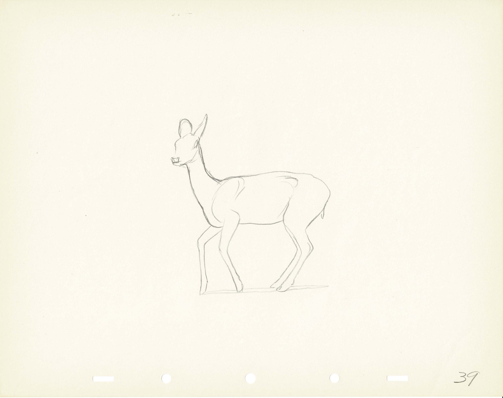 Walt Disney Rough Production Animation Cel Drawing or Study of a Deer ...