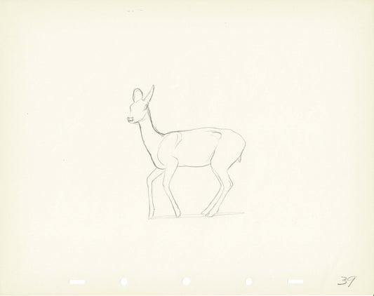 Walt Disney Rough Production Animation Cel Drawing or Study of a Deer 39m