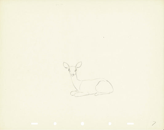 Walt Disney Rough Production Animation Cel Drawing or Study of a Deer 7m