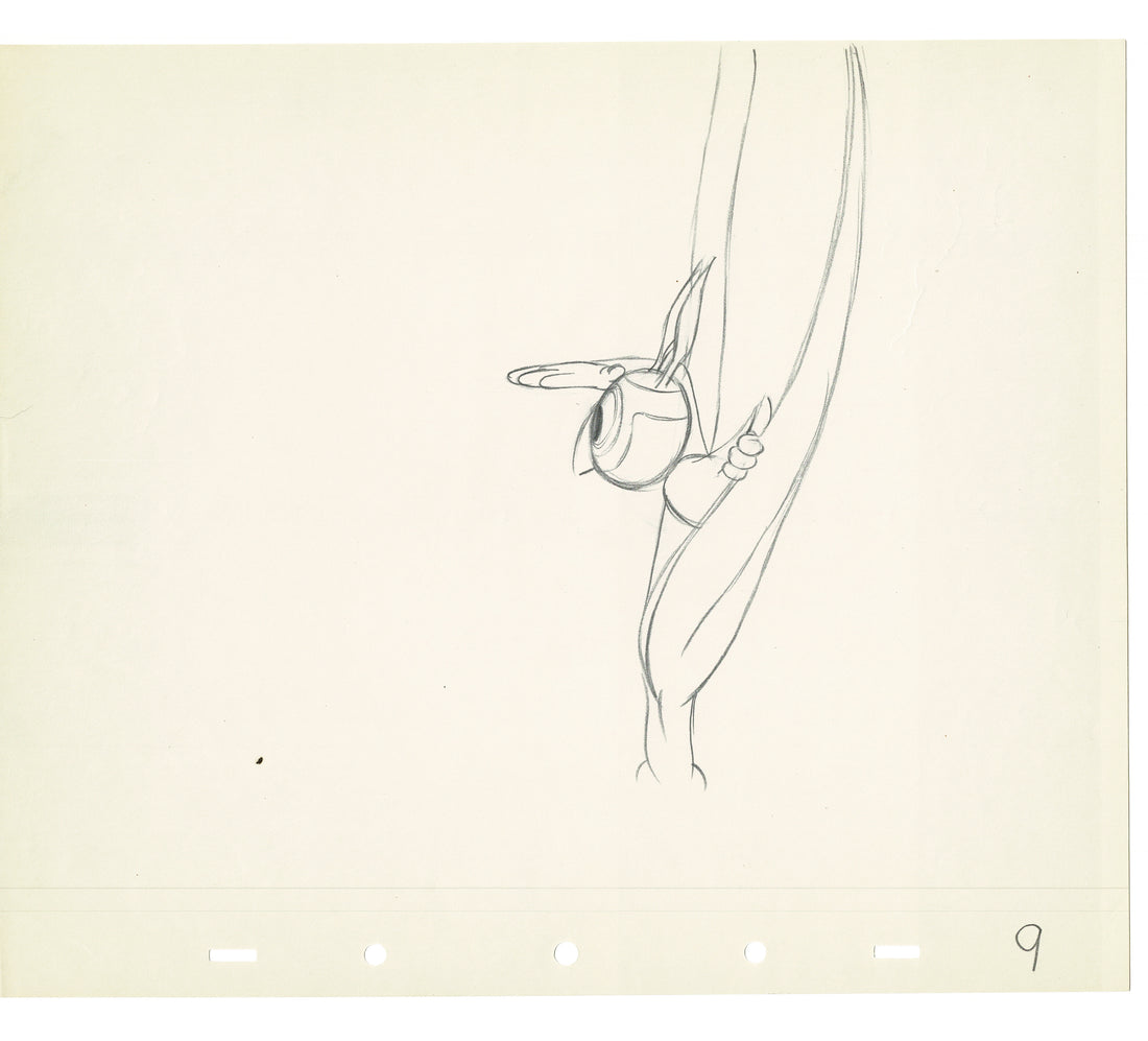 Donald Duck Walt Disney 1939 Pluto Beach Picnic RKO Animation Cel Draw ...